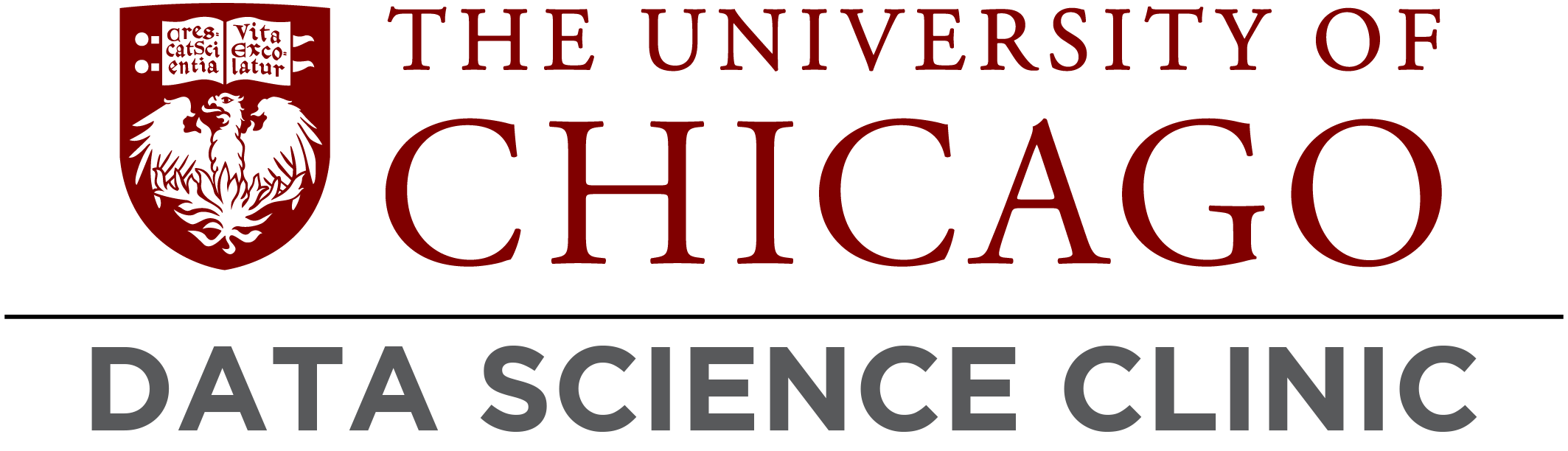 University of Chicago Data Science Clinic